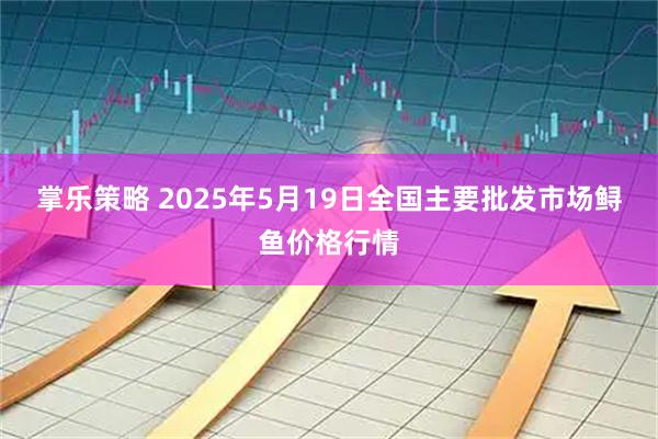掌乐策略 2025年5月19日全国主要批发市场鲟鱼价格行情