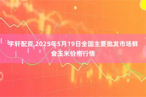 宇轩配资 2025年5月19日全国主要批发市场鲜食玉米价格行情