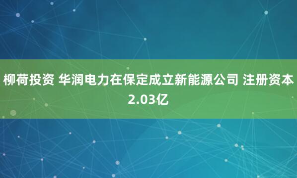 柳荷投资 华润电力在保定成立新能源公司 注册资本2.03亿