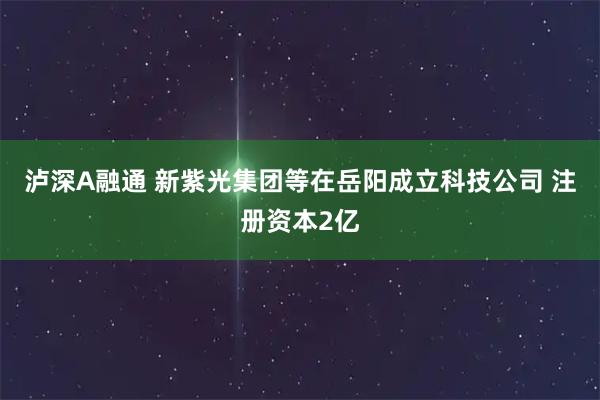 泸深A融通 新紫光集团等在岳阳成立科技公司 注册资本2亿