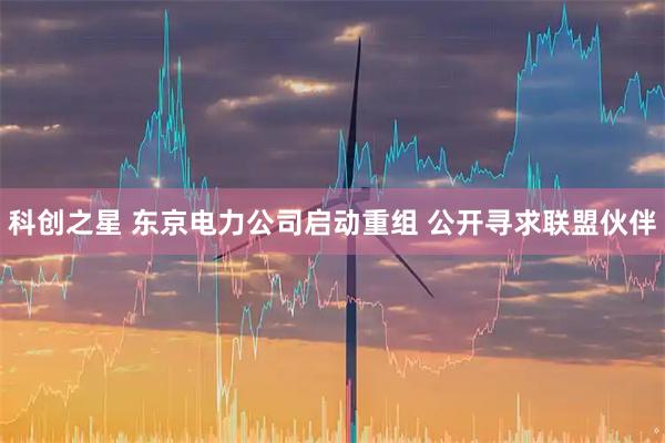 科创之星 东京电力公司启动重组 公开寻求联盟伙伴