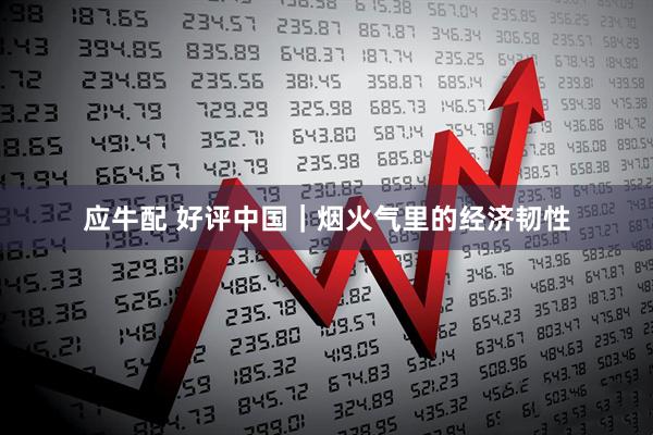 应牛配 好评中国｜烟火气里的经济韧性
